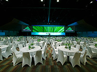 Cairns Accommodation