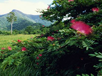 Cairns Accommodation