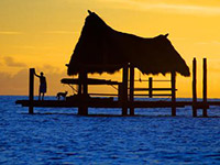 Cairns Accommodation