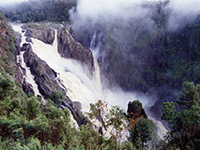 Cairns Accommodation