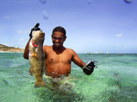 Cairns Accommodation
