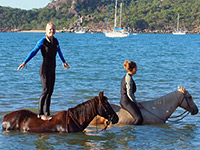 Cairns Accommodation