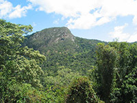 Cairns Accommodation