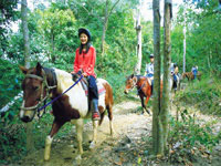 Horse Riding
